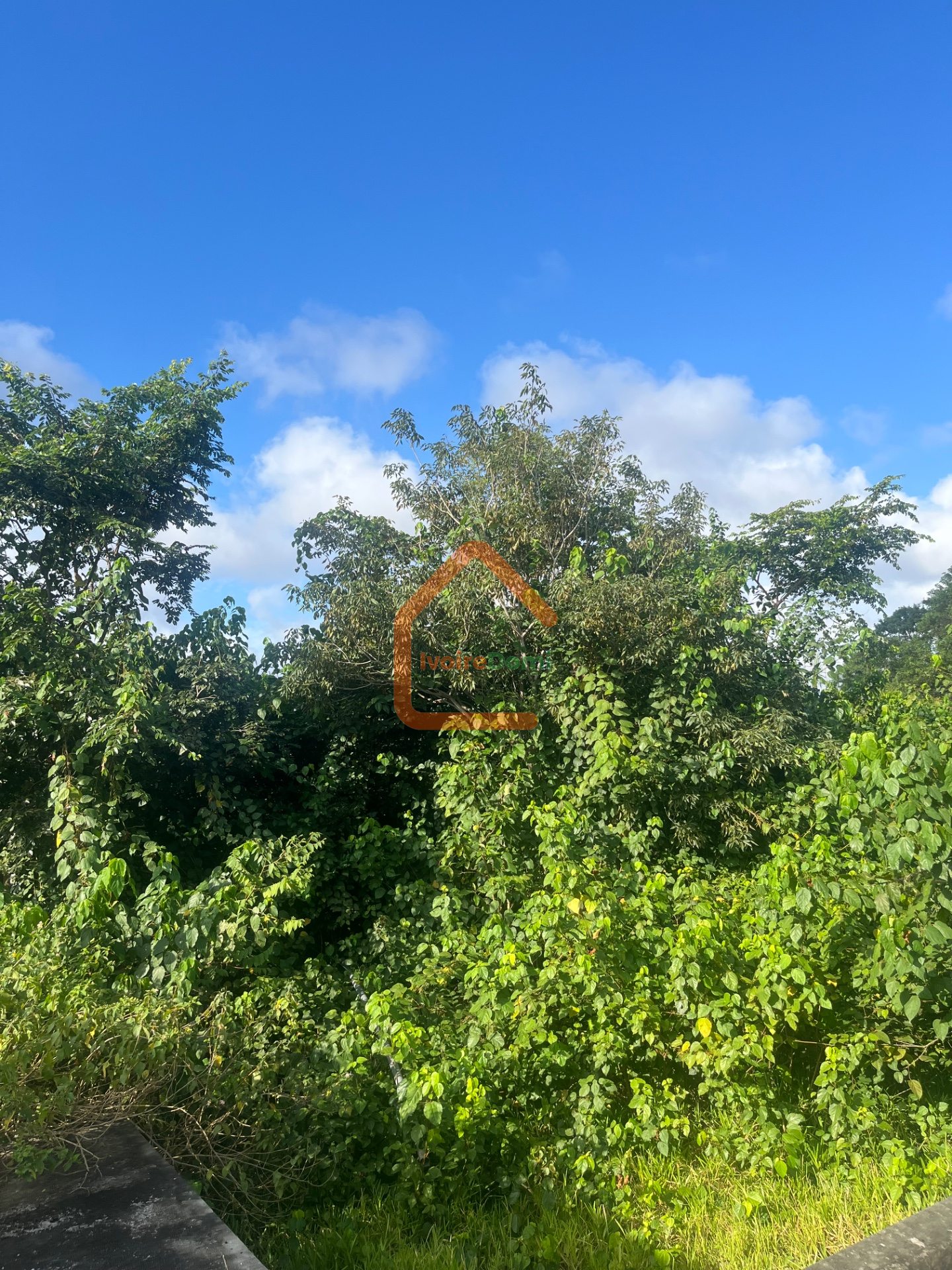 TERRAIN COMMERCIAL A VENDRE A MACORY