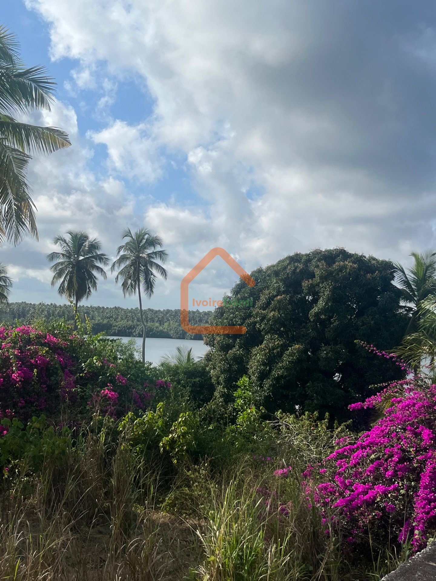 TERRAIN COMMERCIAL A VENDRE A MACORY