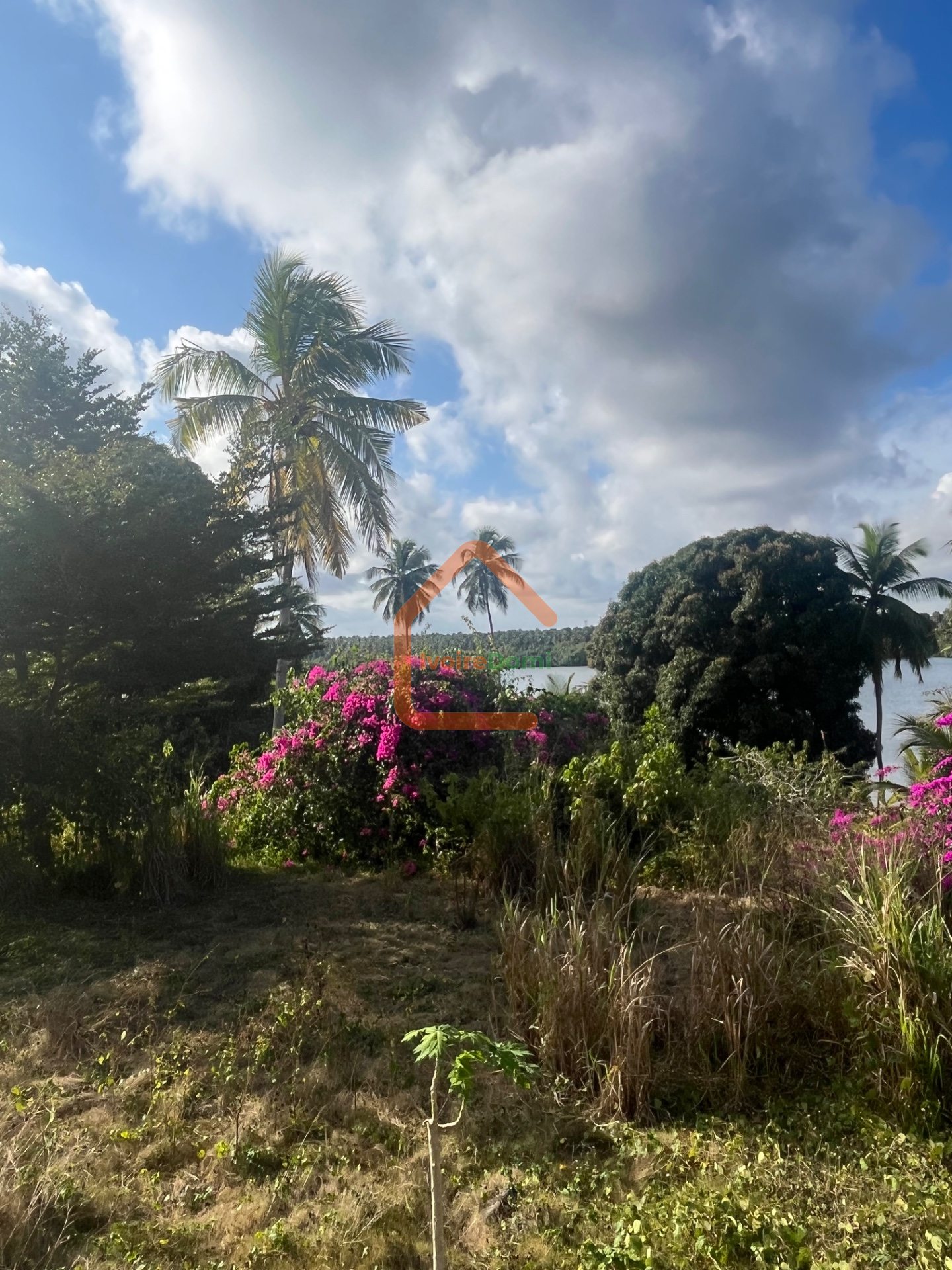 TERRAIN COMMERCIAL A VENDRE A MACORY