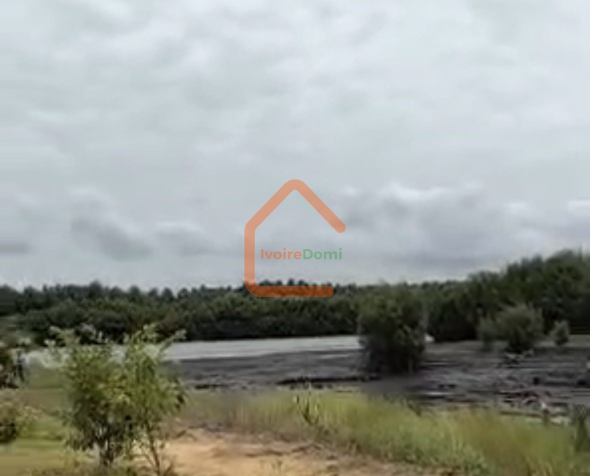 Terrain 1155 m² + ACD à bingerville