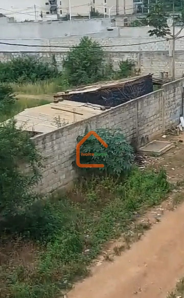 Terrain commercial