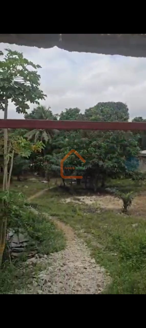 Terrain en vente a cocody riviera bonoumin