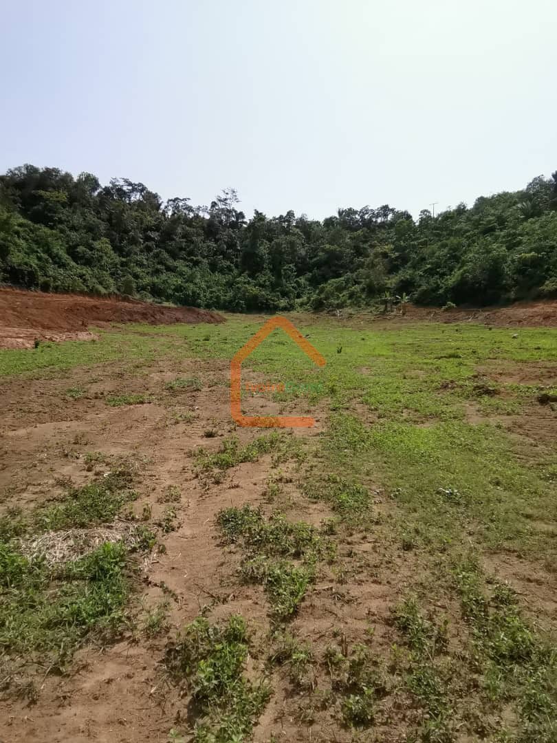 TERRAIN 1600M2 A M’BADON AVEC ACD