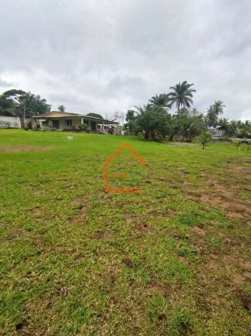 OPPORTUNITE TERRAIN AGBOVILLE