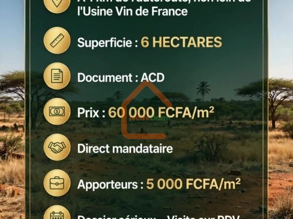 Bassam 6 ha à céder avec un acd