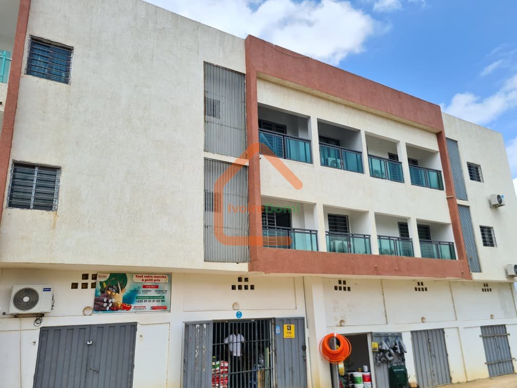 APPARTEMENT 3 PIECES CHU ANGRE
