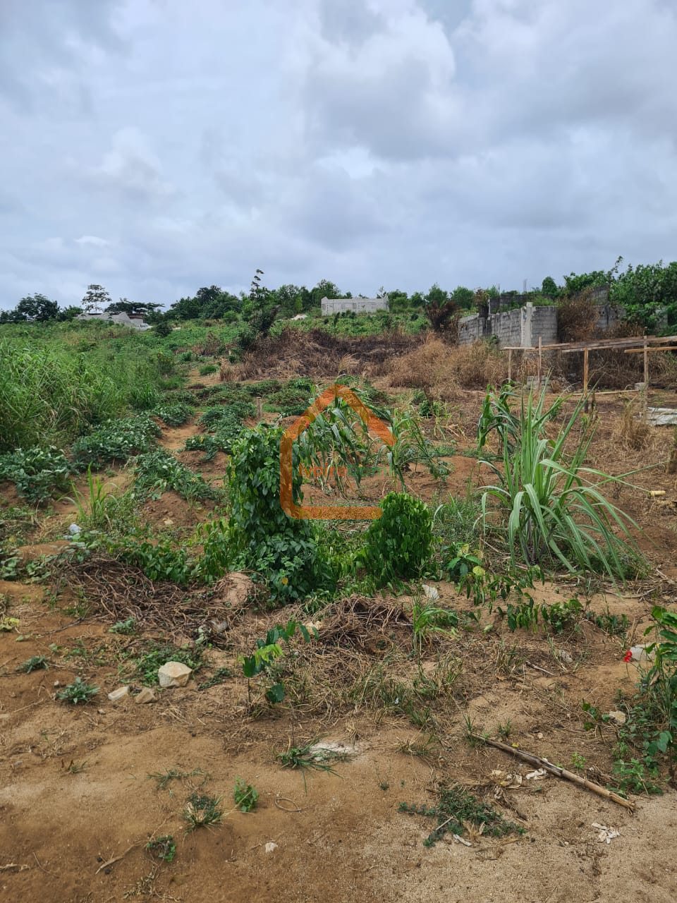 TERRAIN EN VENTE