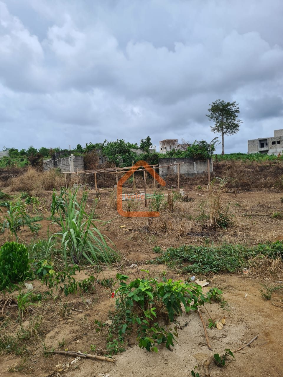 TERRAIN EN VENTE