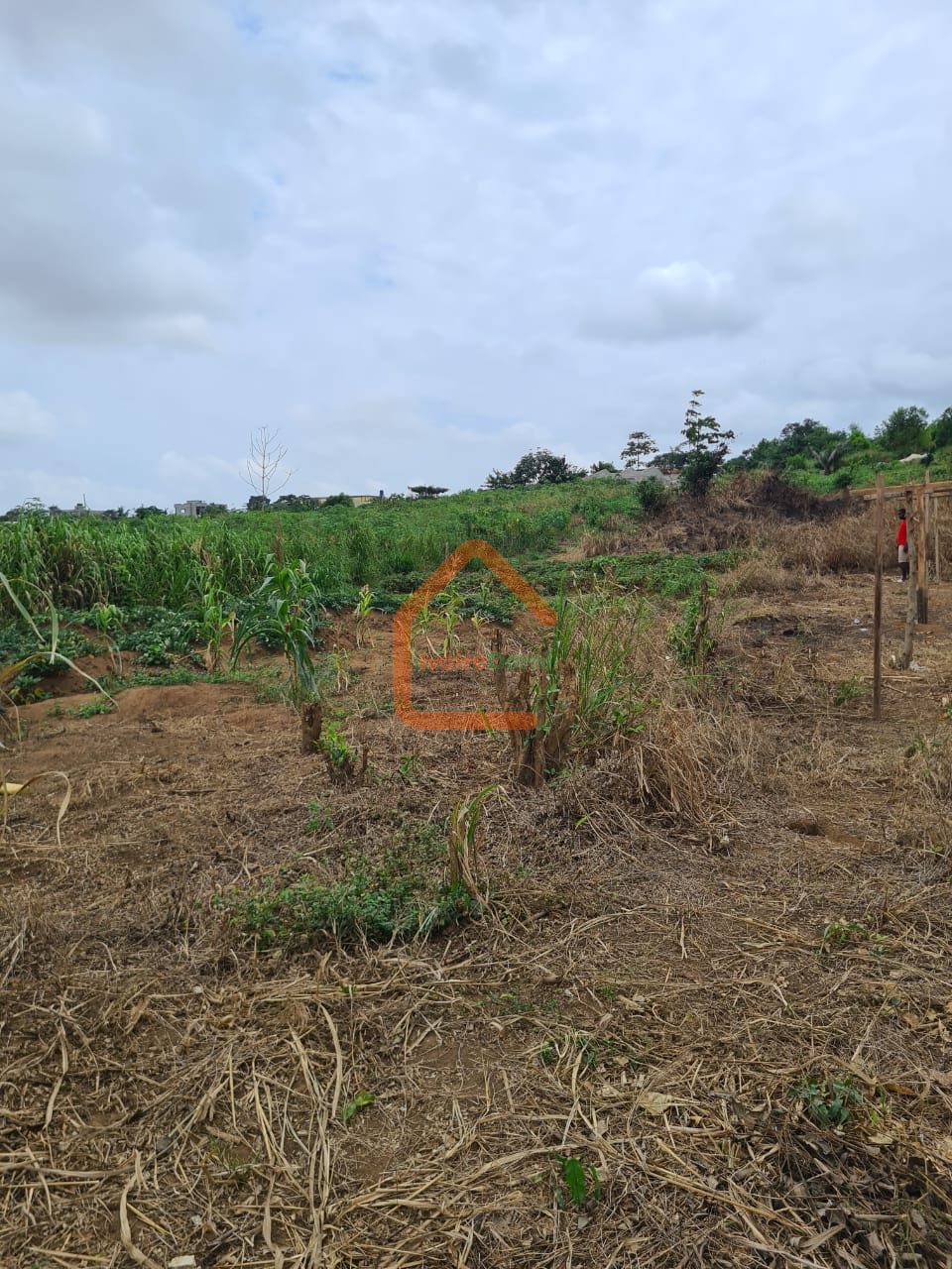 TERRAIN EN VENTE