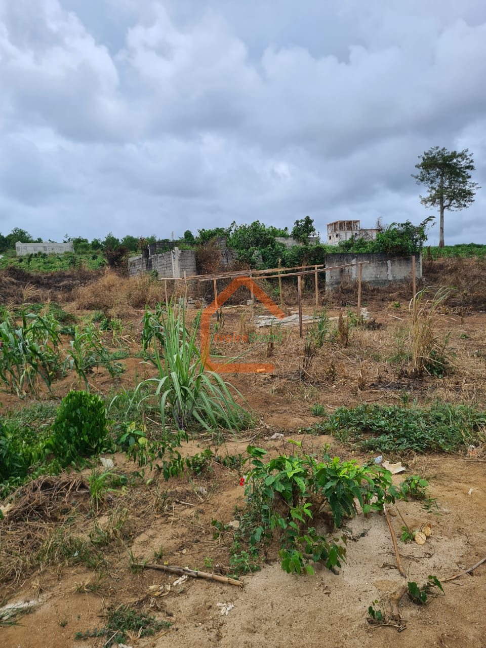 TERRAIN EN VENTE